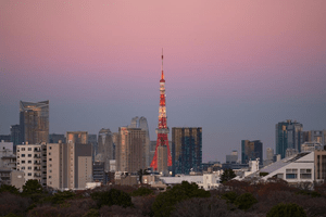 Over 80 per cent of Japanese people favour capital punishment: Report