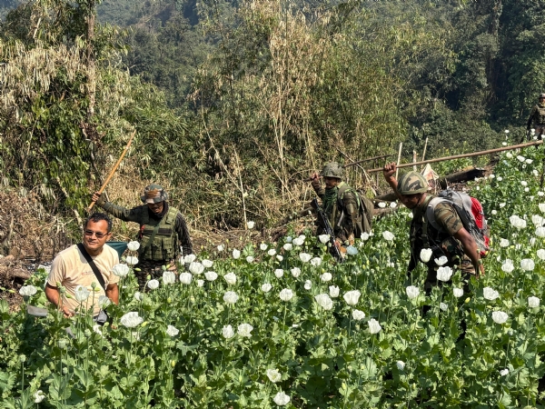 Assam Rifles’ anti-opium operation in AP