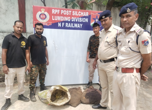 RPF recovers 450 live frogs at Silchar station