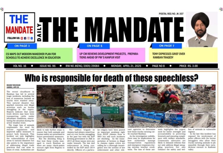 Who is responsible for death of these speechless?