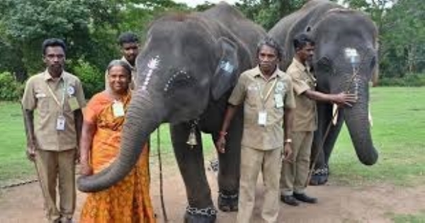 Mahouts in Theppakadu Elephant Camp Get Houses in Tamil Nadu