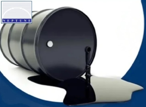 Neptune Petrochemicals stocks debuts at 8.81%; boost investor profits