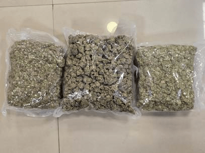 DRI busts pan-India hydroponic weed smuggling syndicate; six held with Rs 1.02 crore