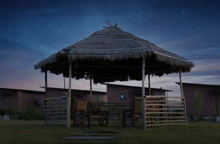 MP set to offer tourists an experience long-awaited at Kuno and Gandhisagar