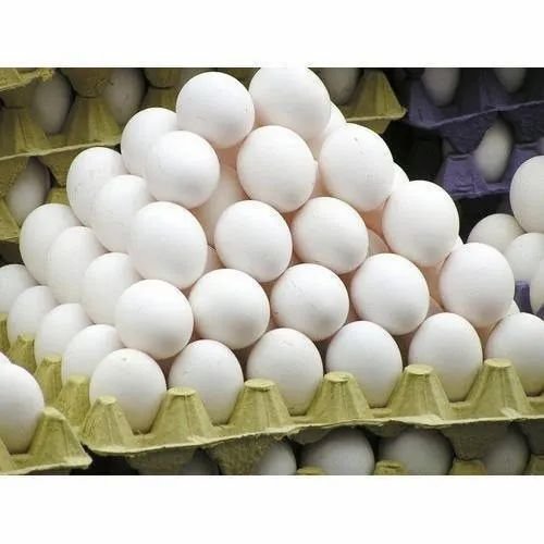 Eggs Safe for Consumption, Cancer Risk Claims Unfounded: FSSAI – Kashmir Observer