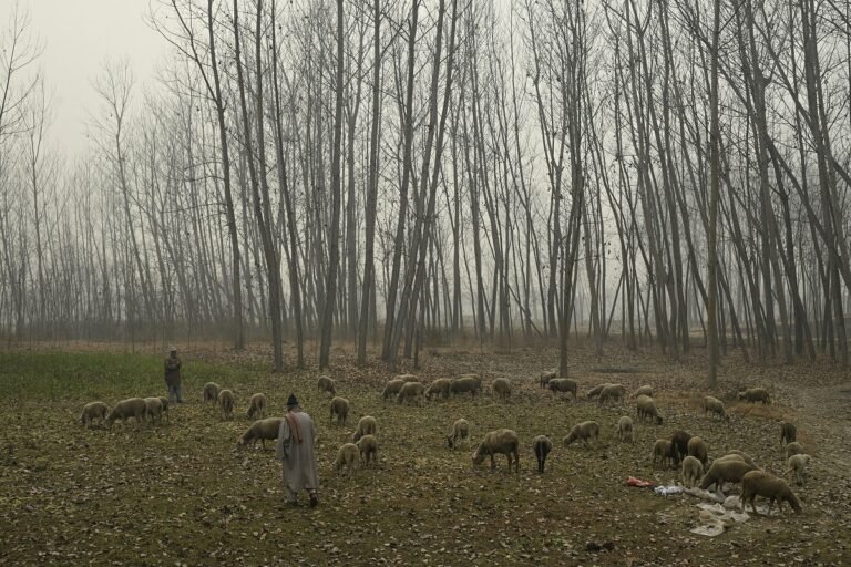 WDs Set To End Dry Spell In Kashmir – Kashmir Observer