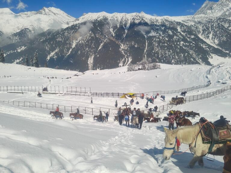 Cold wave grips J&K, Ladakh as several places record lowest temperature of the season