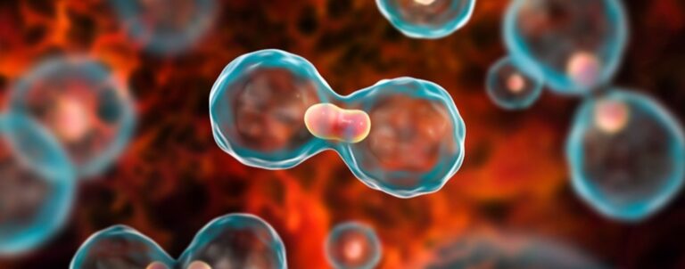 38 new cancer patients diagnosed daily in J&K