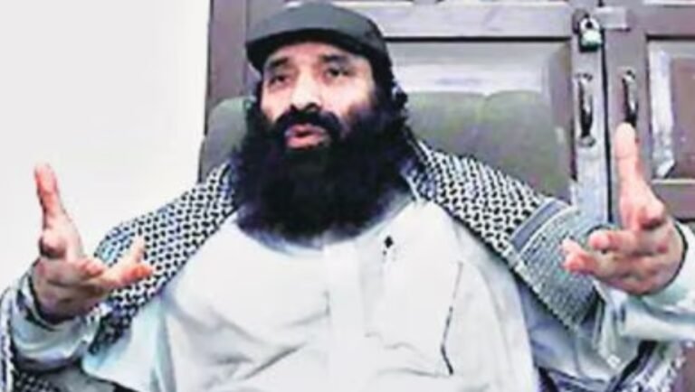 Court issues non-bailable warrant against Hizbul Mujahideen Chief Salah-ud-din