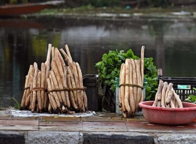 How Nadru Shapes Kashmiri Life – Kashmir Observer