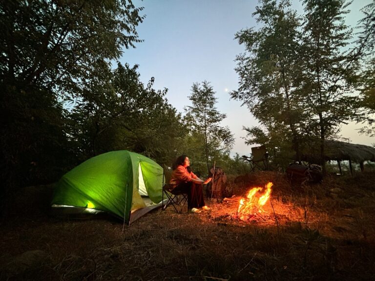 SAGG Eco Village Wins Gold at TOFT Tourism Awards – Kashmir Observer