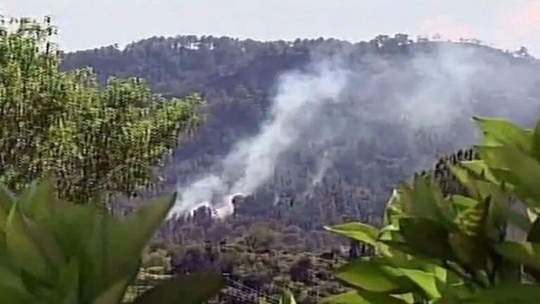 Forest Fire Triggers Fresh Landmine Blasts Along LoC in Poonch