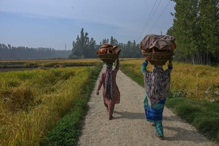 How Quiet Seasonal Livelihoods Power Rural Women’s Incomes  – Kashmir Observer
