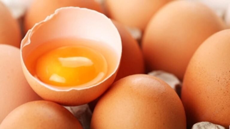 Egg Samples in Srinagar Found Safe, Meet FSSAI Norms: Officials – Kashmir Observer