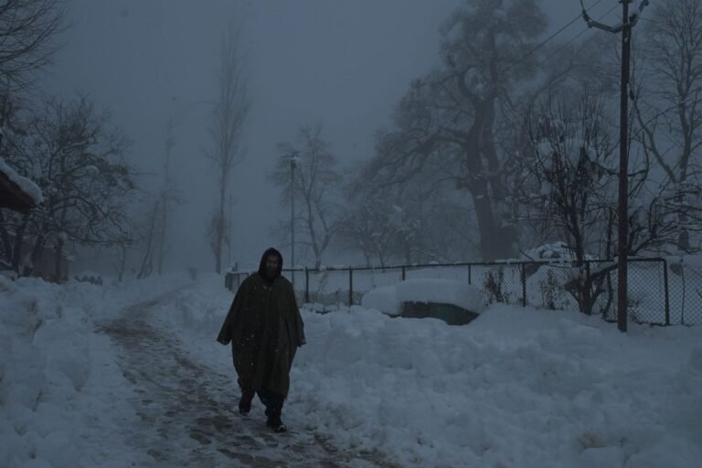 First Snow Brings Life To A Halt in Kashmir Valley