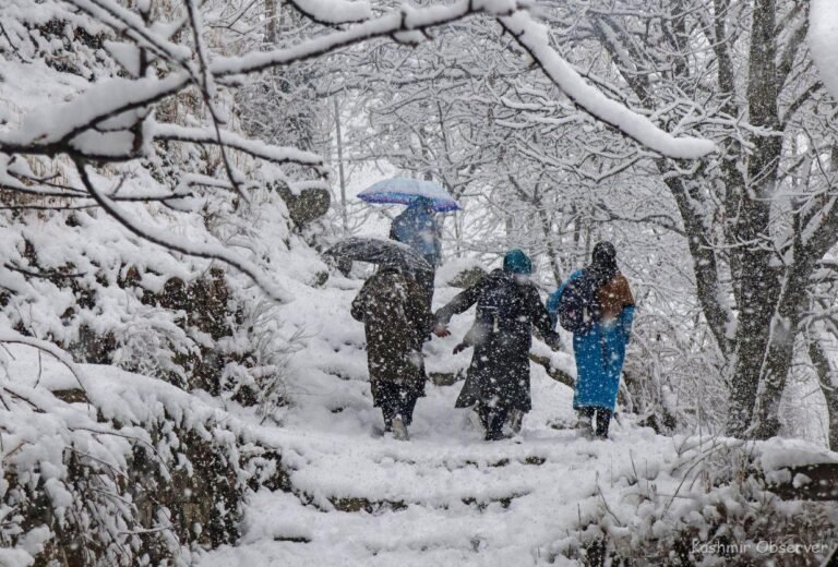 Cold Conditions Grip Kashmir, Snowfall Likely