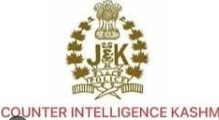 CIK cracks down on mule account syndicate, raids 22 locations in Kashmir, 22 detained