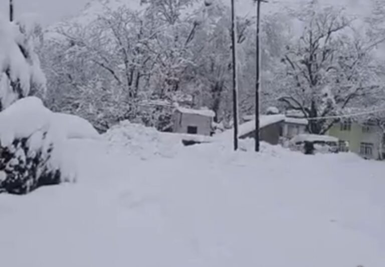 Karnah in North Kashmir Records Rare Snowfall After 2 Decades