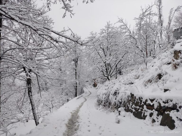 Snowfall Disrupts Life in Jammu’s Higher Reaches