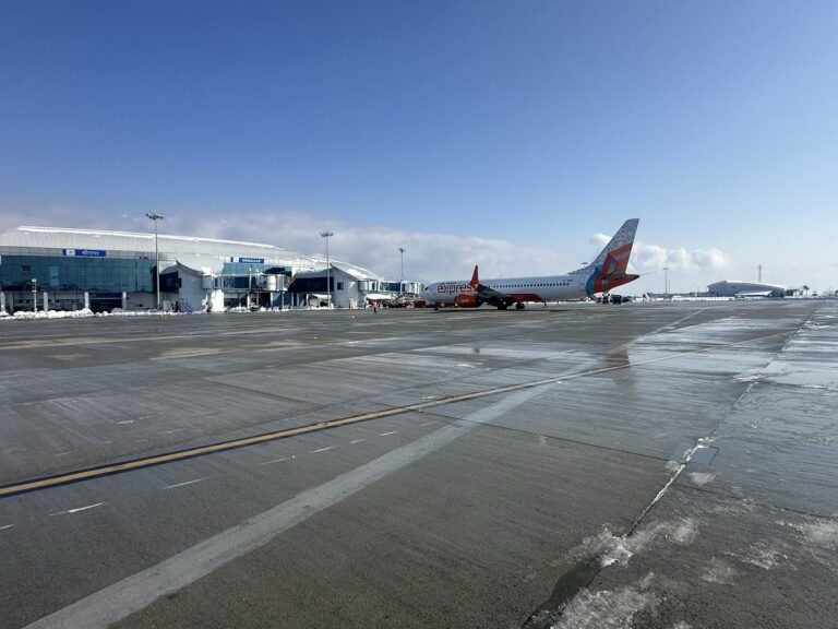 Snowfall Cancels Srinagar Flights, Tourists Stranded