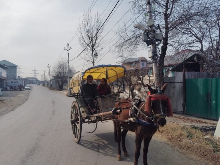 On Pulwama’s Roads, a Tonga Still Holds On