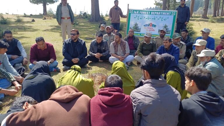 Kashmir Students Join Forest Officials in Plantation Drive at Nilnag