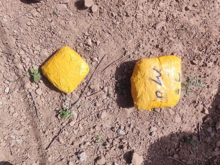 Chinese Pistol, Suspected Drugs Recovered Near LoC in Poonch