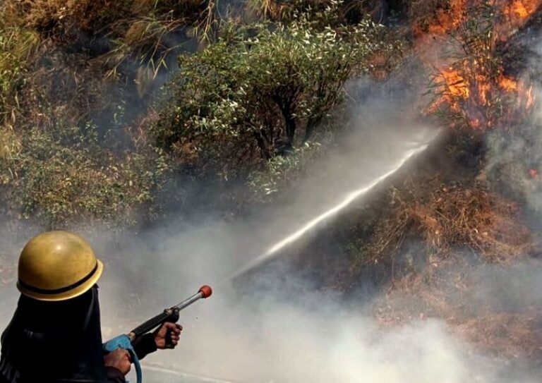 Massive Forest Fire in Poonch; Locals Help Bring Flames Under Control