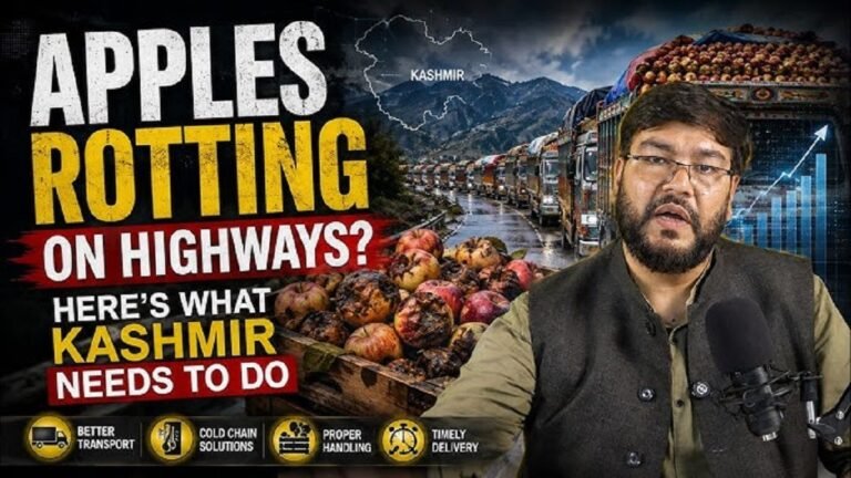 Video: Can Kashmir Save Its Apple Harvest from Highway Delays?
