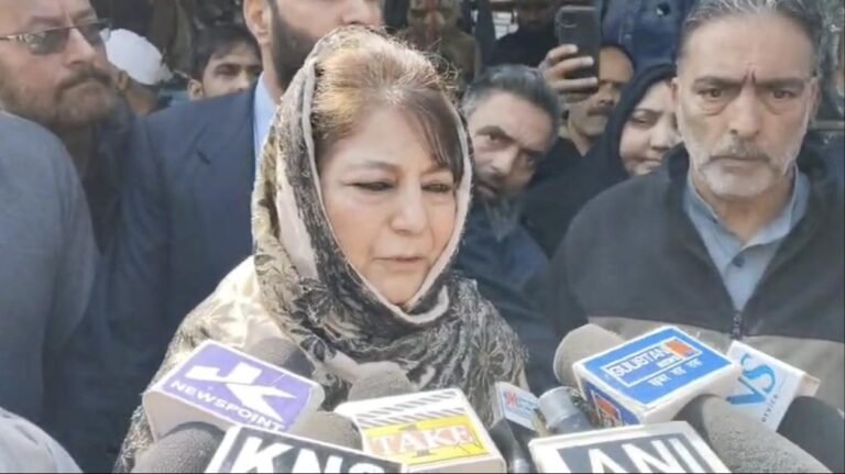 Mehbooba seeks crackdown on machine-made copperware, loan waiver for Kashmir artisans