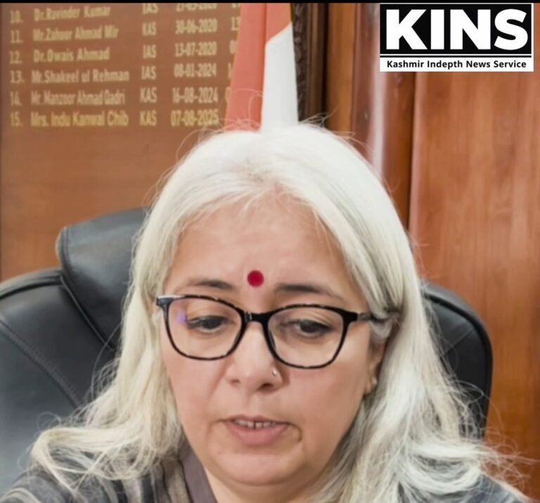 DC Bandipora orders probe into Gurez Mother-Newborn deaths, assures action